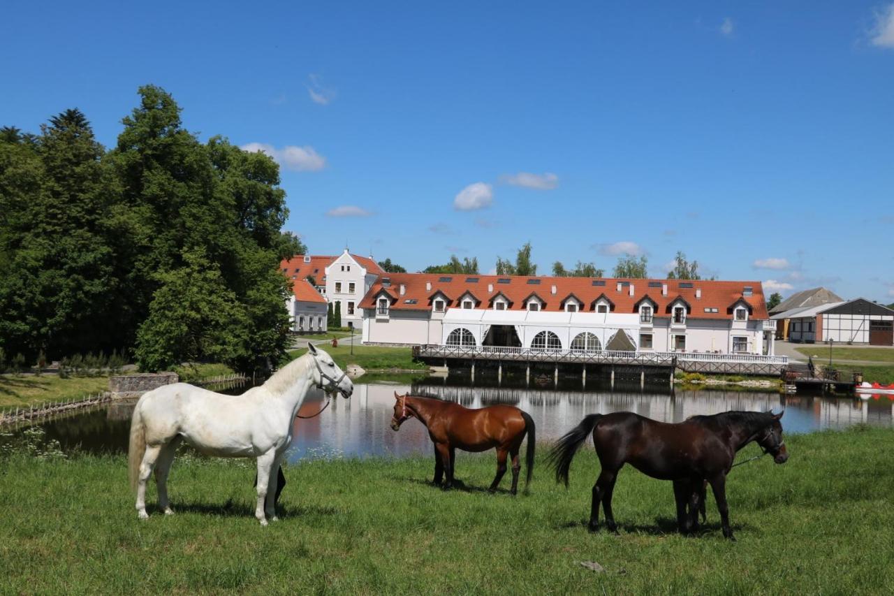 Palac Mortegi Hotel & Spa- Restauracja Szlachecka, Spa, Basen, Sauny, Jazda Konna, Mini Zoo- Luksus, Relaks I Przyroda W Jednym! Lubawa Exteriér fotografie